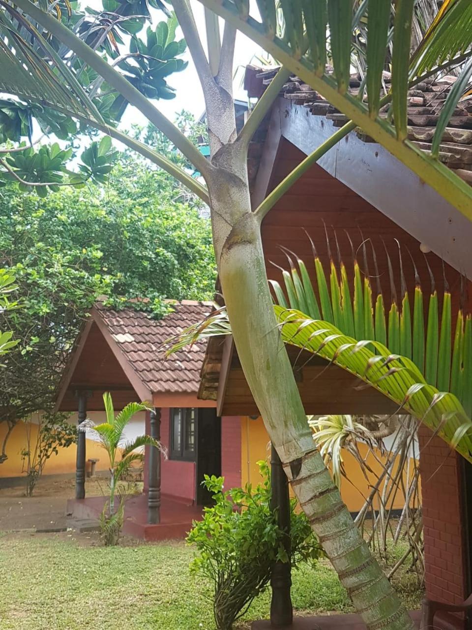 Dreamvillage Dodanduwa Buitenkant foto